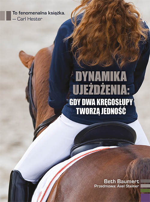 dynamika-ujezdzenia_500-piks-rgb.jpg