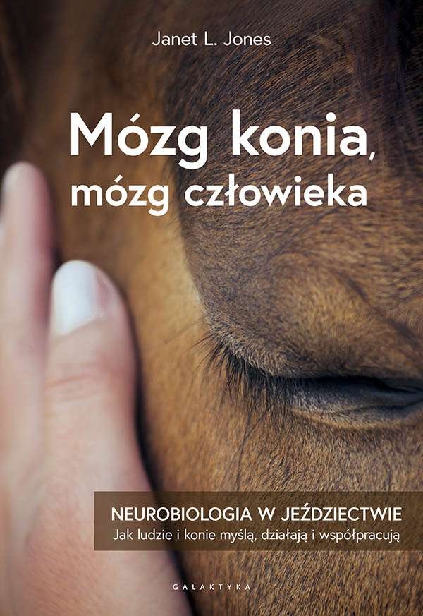 mozg-konia-mozg-czlowieka-neurobiologia-w-jezdziectwie-b-iext197552039.jpg